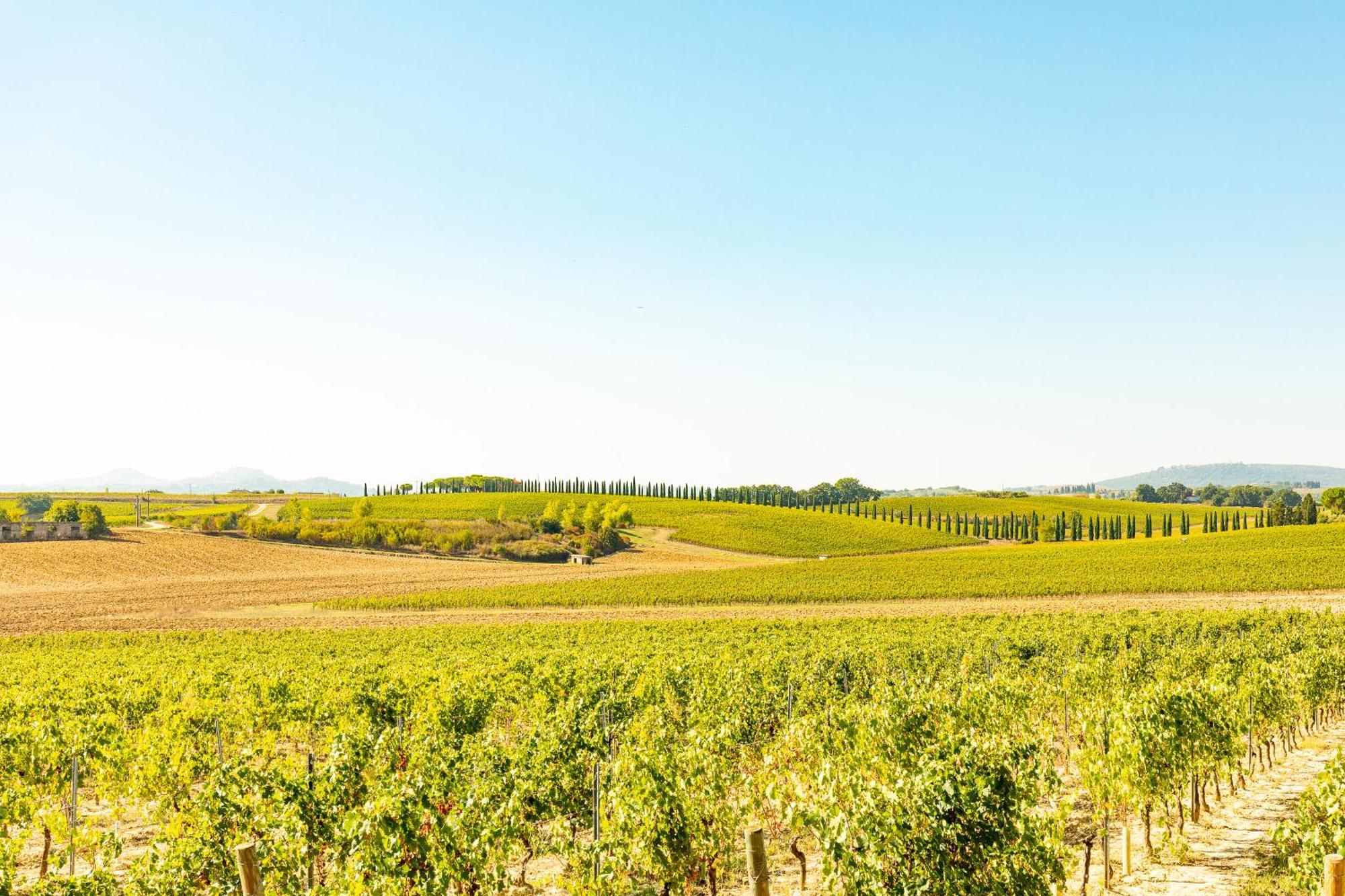 Appartamento Greppino Montepulciano Bagian luar foto