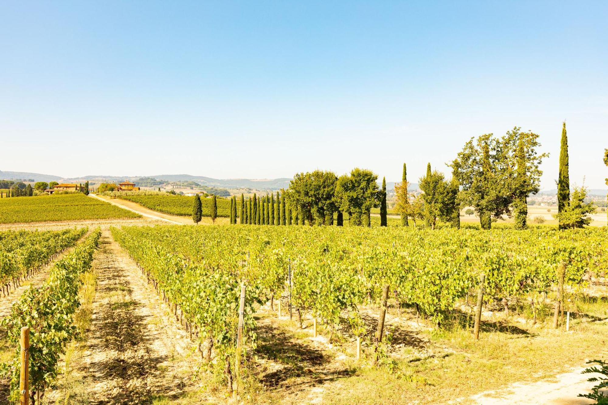 Appartamento Greppino Montepulciano Bagian luar foto