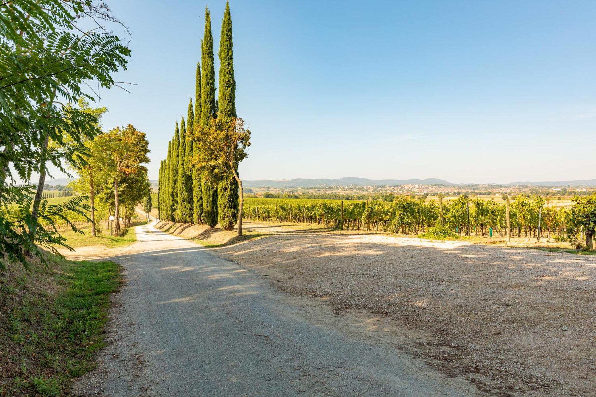 Appartamento Greppino Montepulciano Bagian luar foto