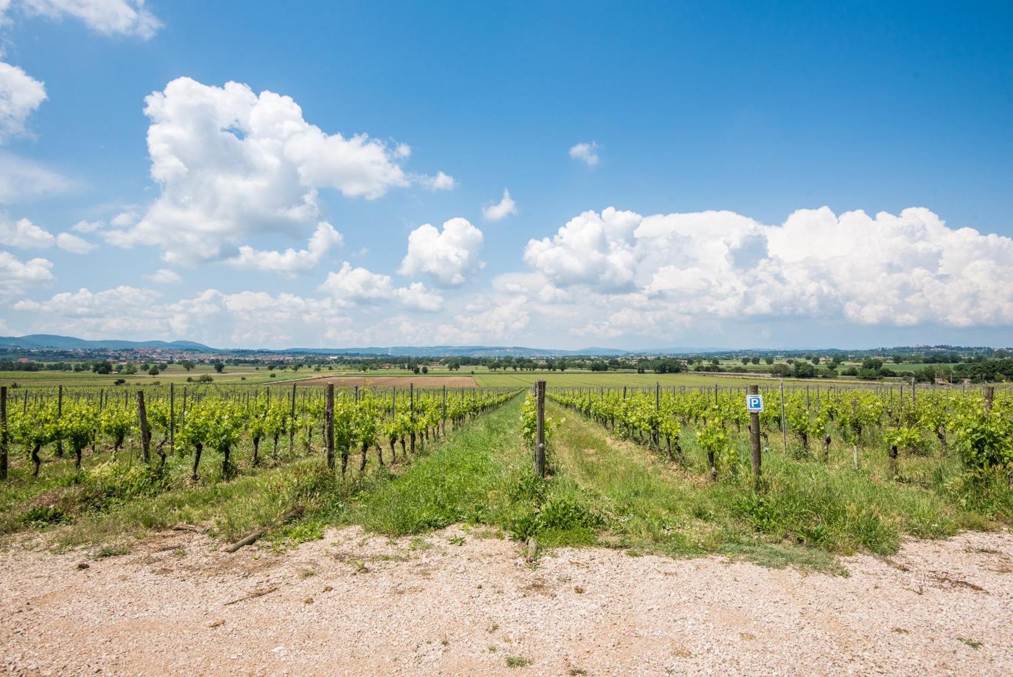 Appartamento Greppino Montepulciano Bagian luar foto